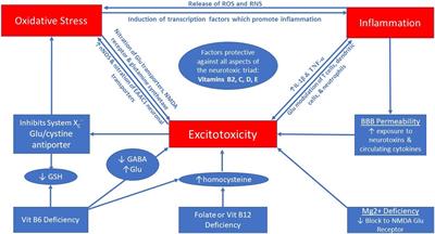 Micronutrients May Be a Unique Weapon Against the Neurotoxic Triad of Excitotoxicity, Oxidative Stress and Neuroinflammation: A Perspective